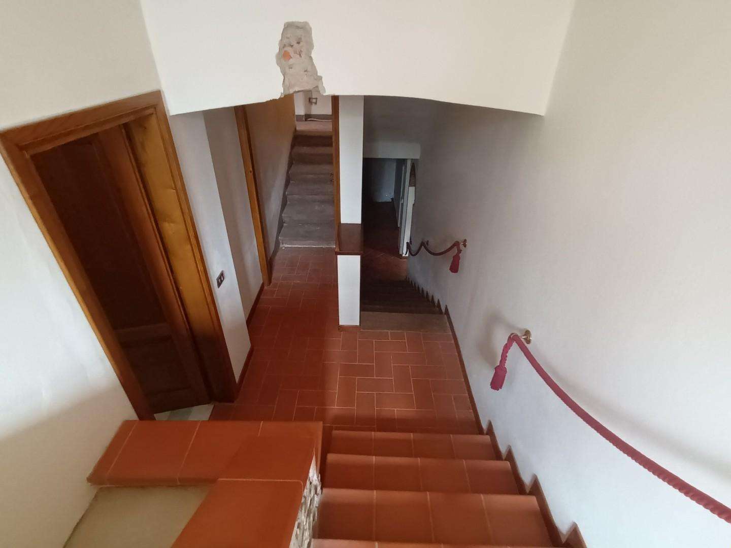  - foto 24