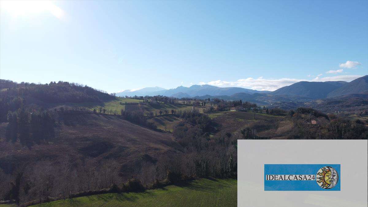  - foto 12