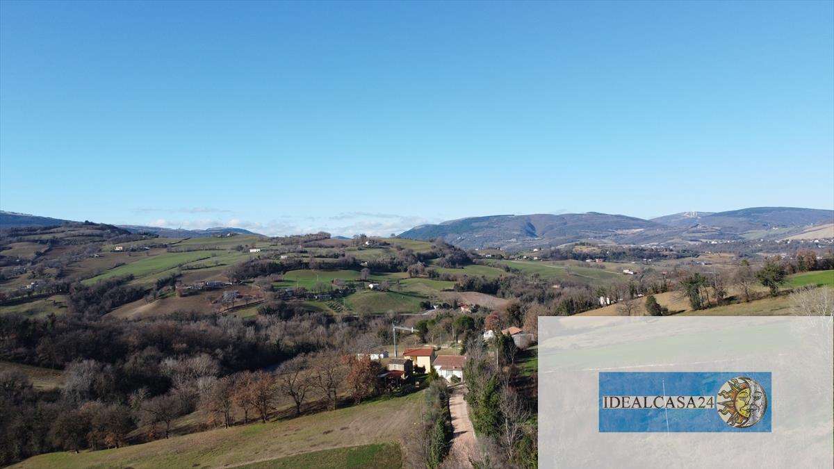  - foto 14