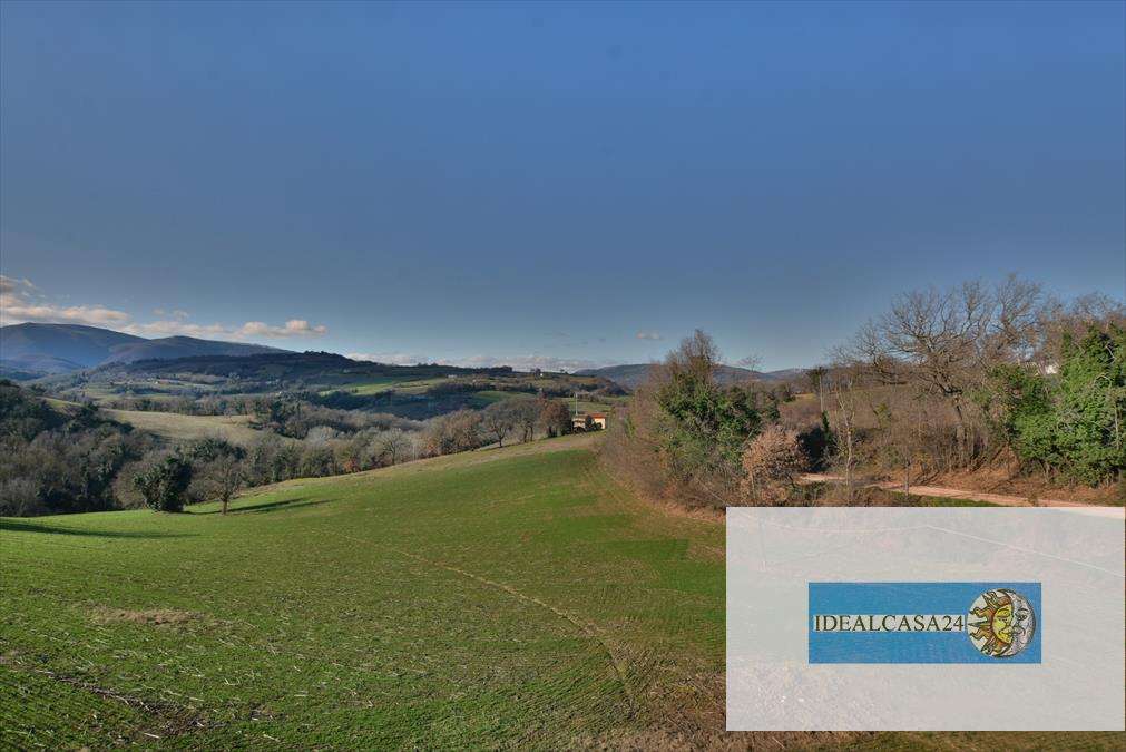  - foto 9