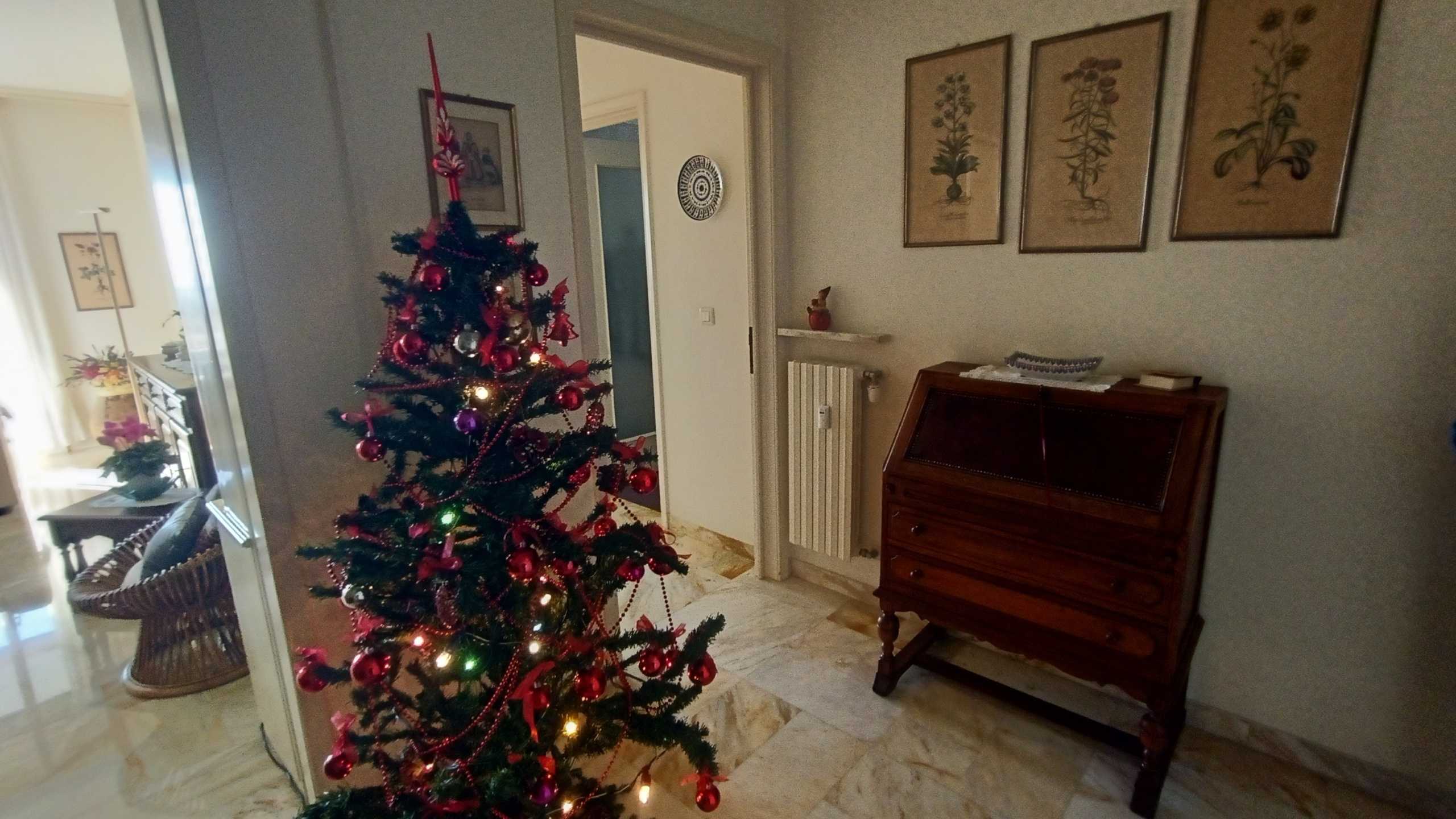  - foto 12