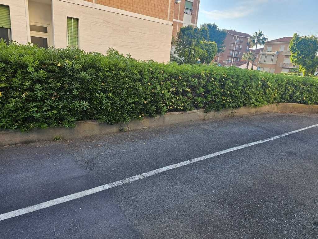 - foto 19