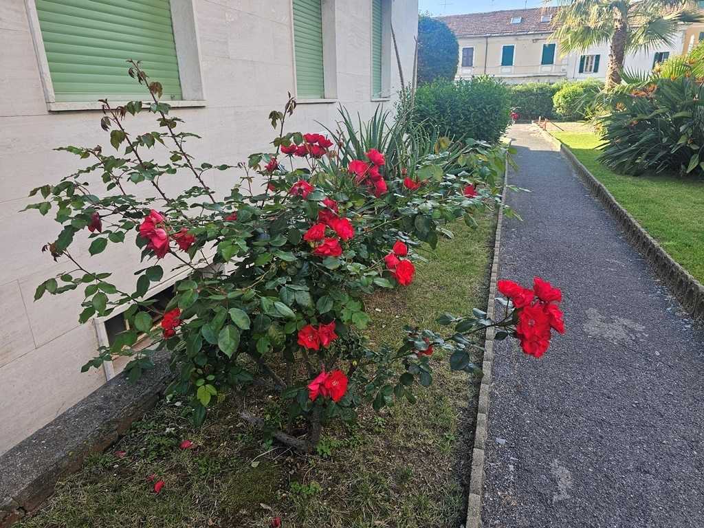  - foto 39