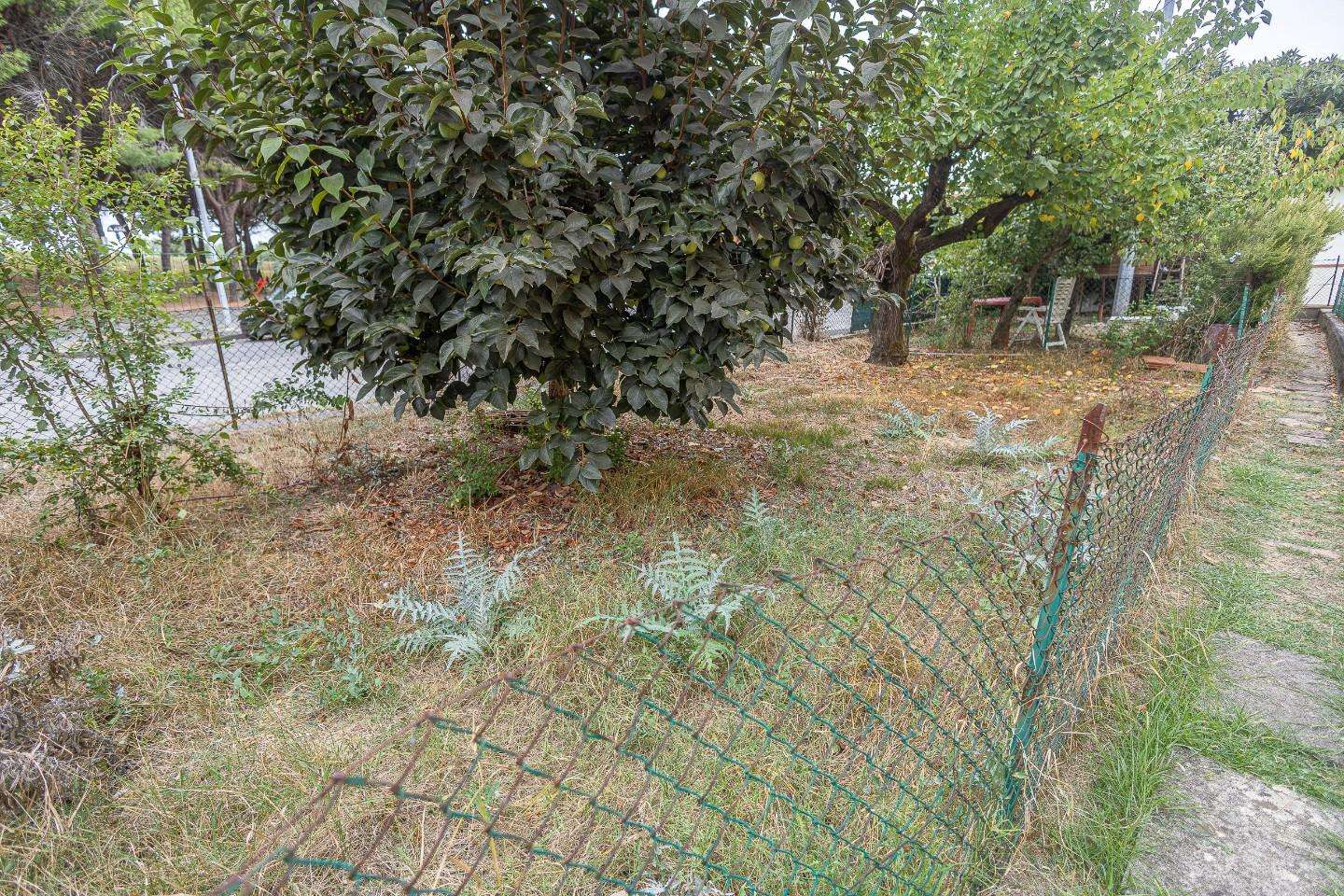  - foto 21