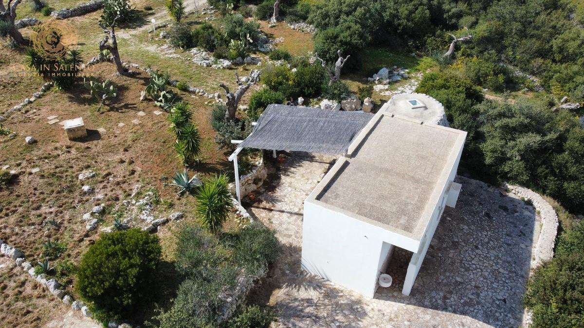  - foto 23