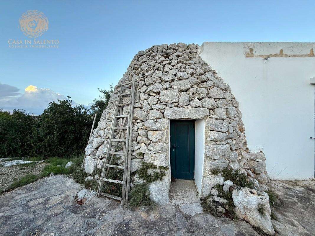  - foto 39