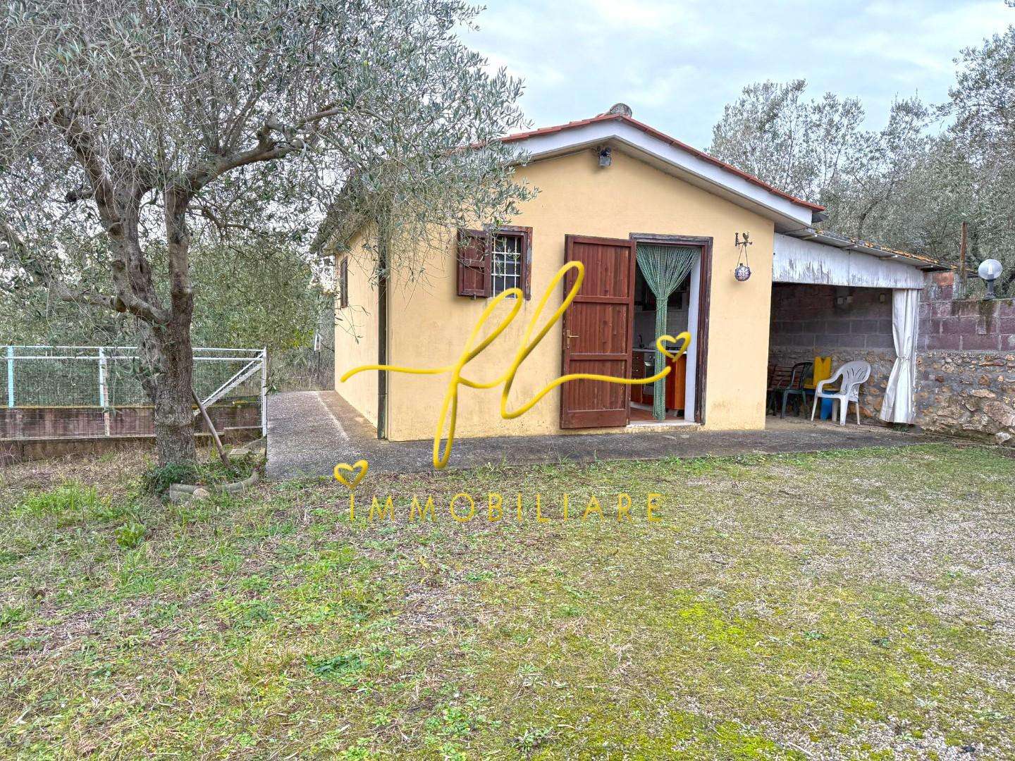  - foto 3