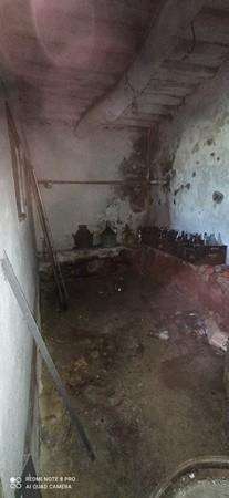  - foto 16