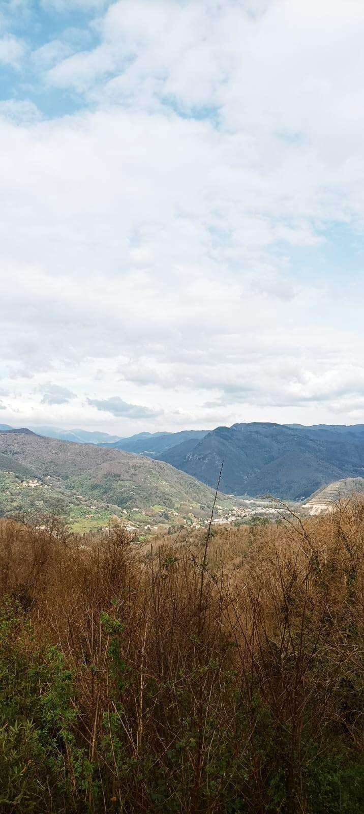  - foto 16