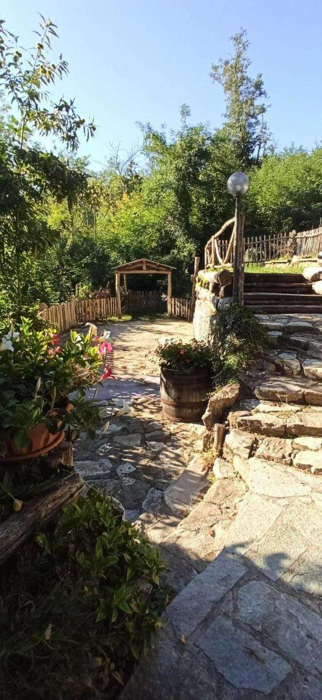  - foto 7