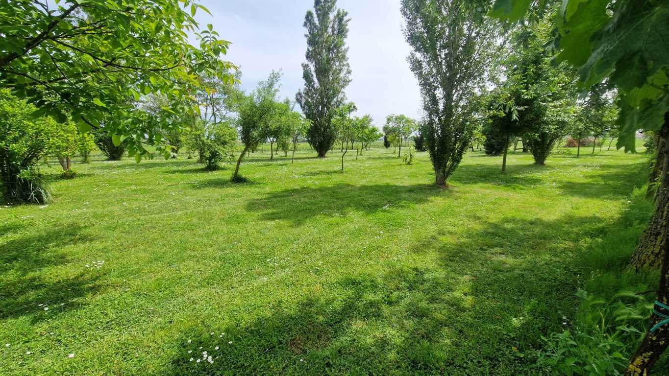  - foto 14