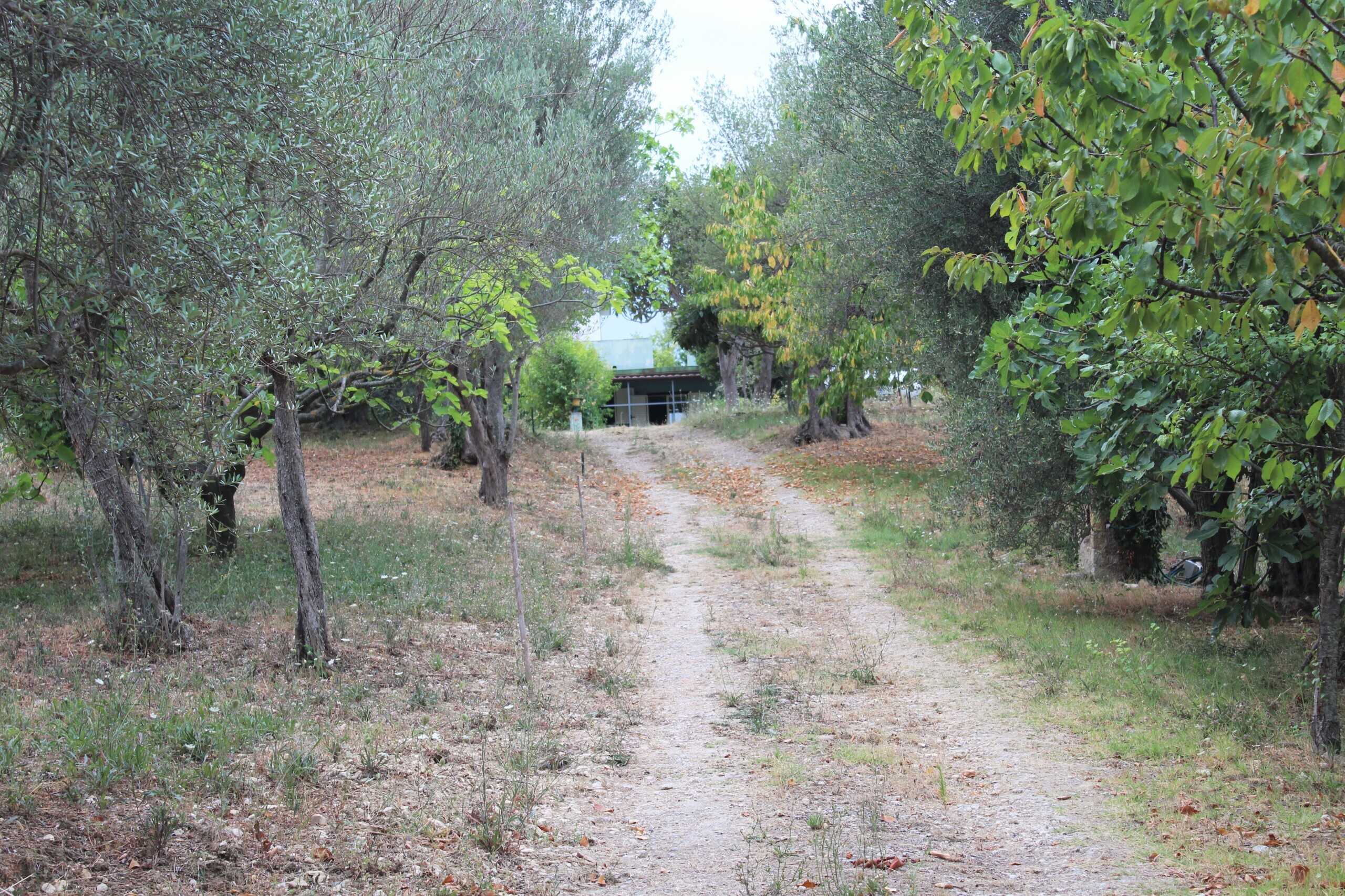  - foto 20