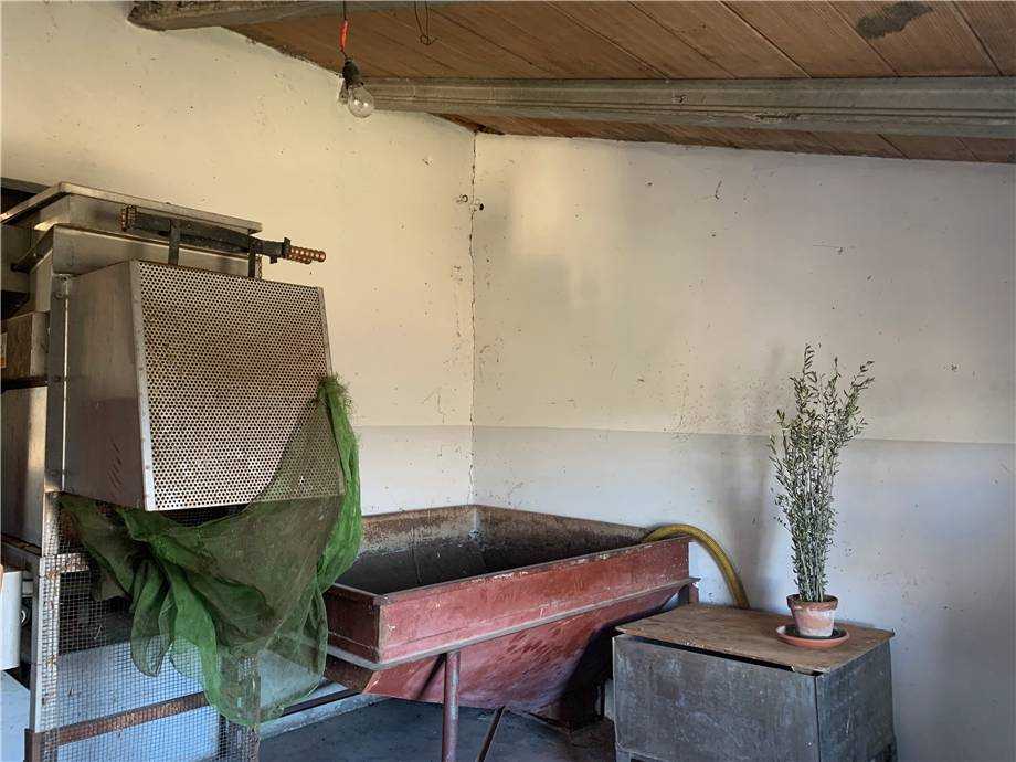  - foto 28