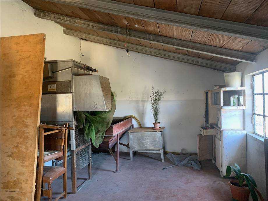  - foto 29