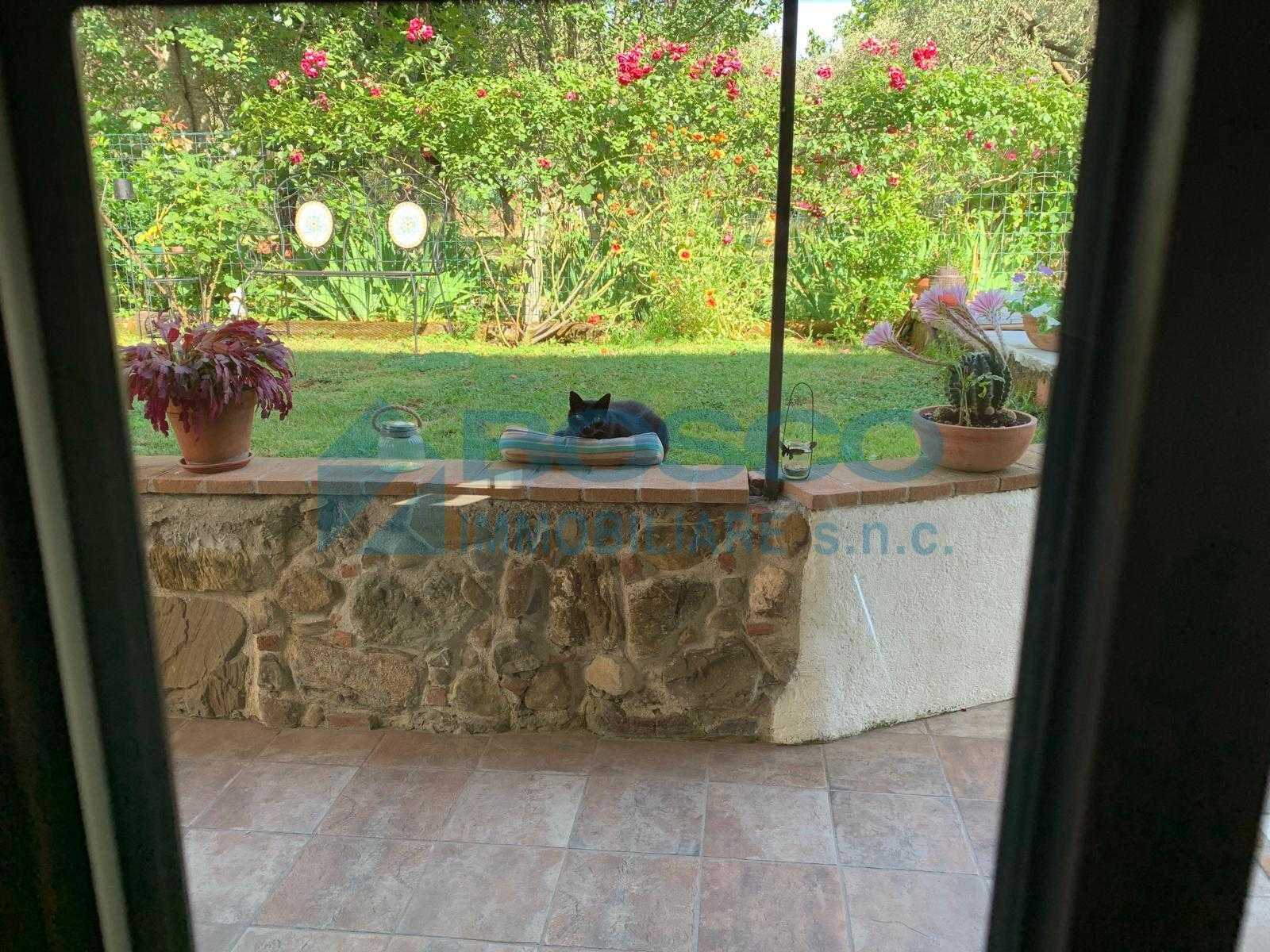  - foto 6