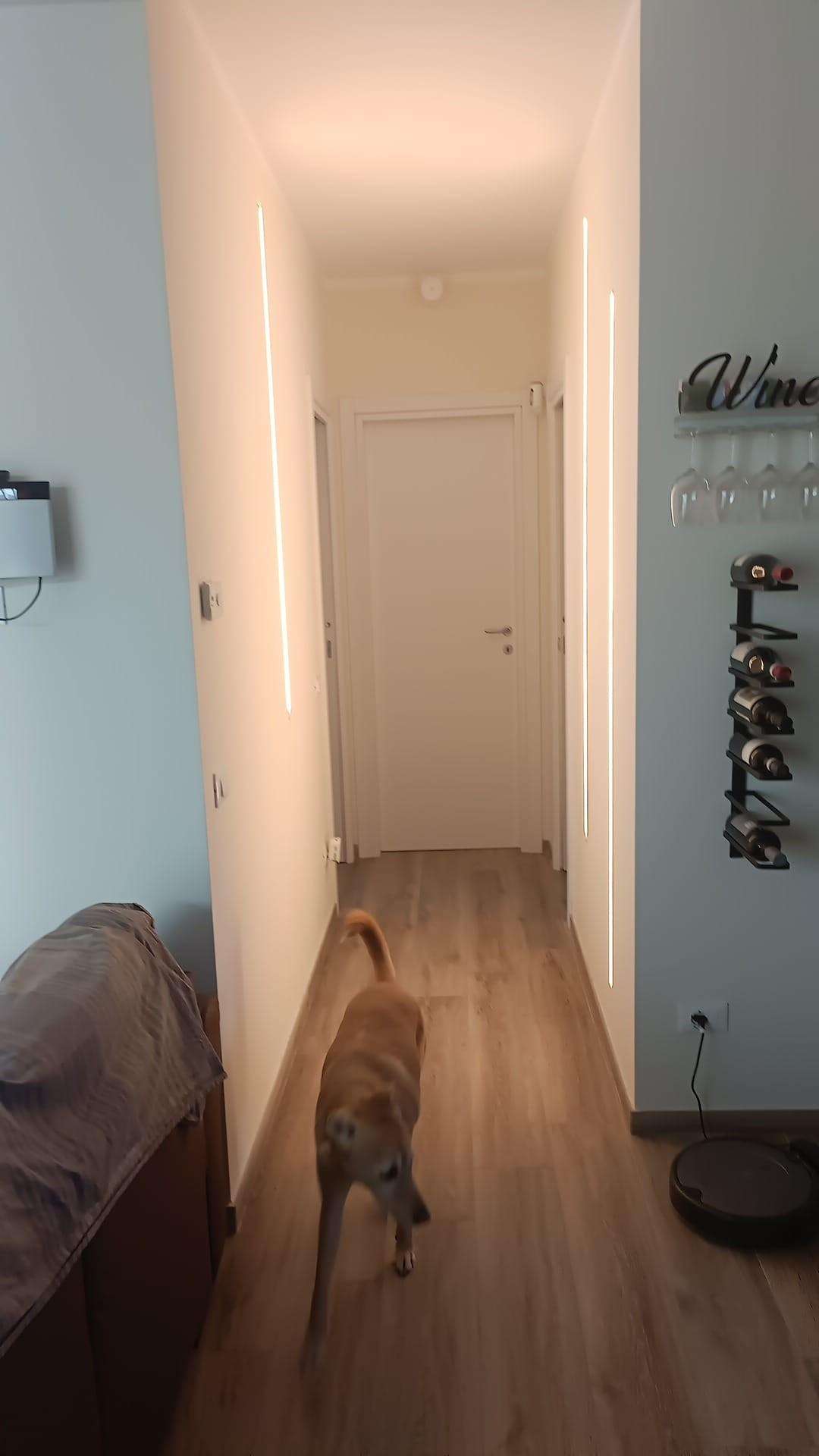  - foto 12