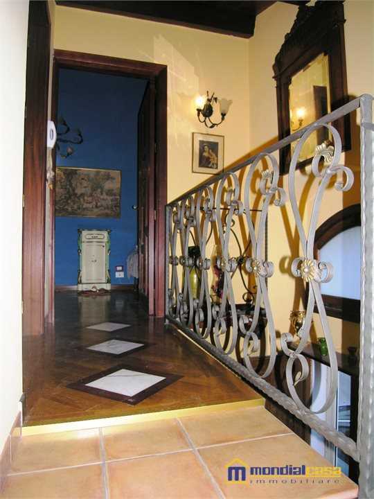  - foto 9