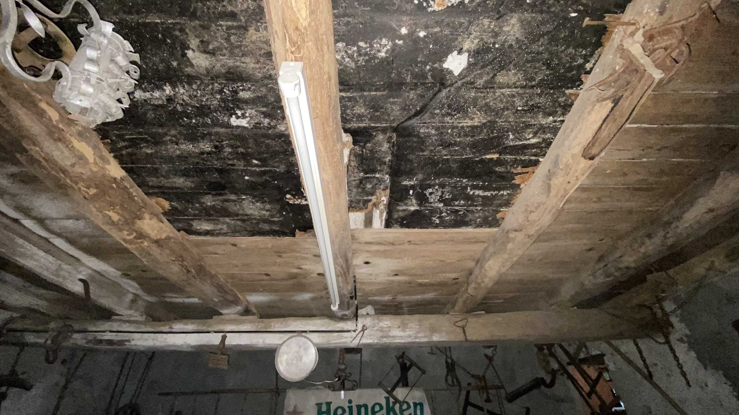  - foto 11