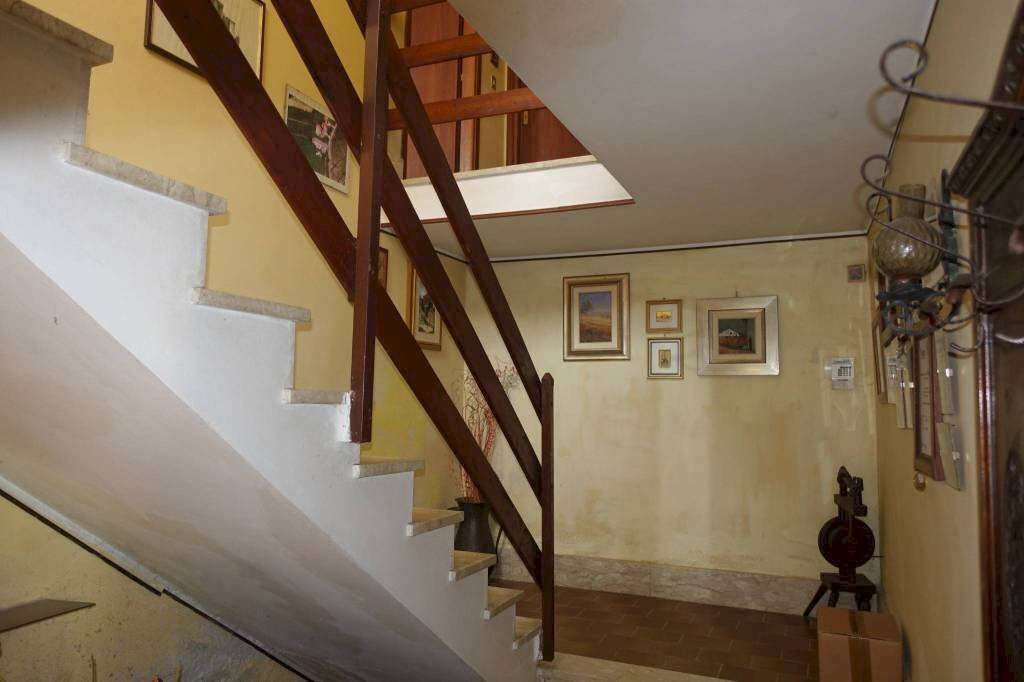  - foto 23