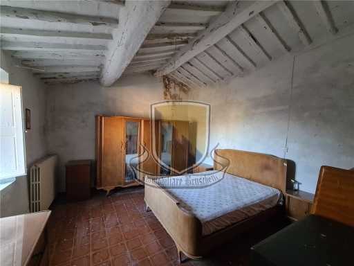  - foto 13