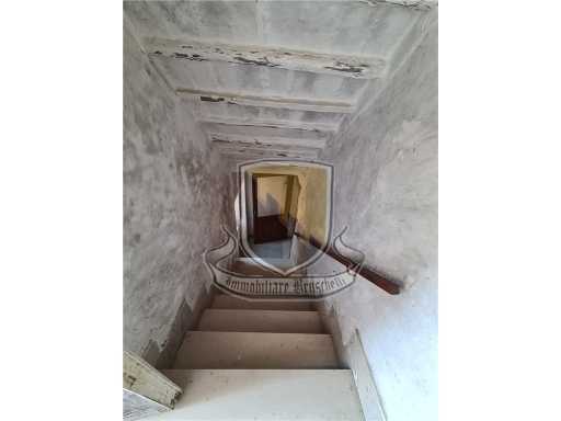  - foto 9