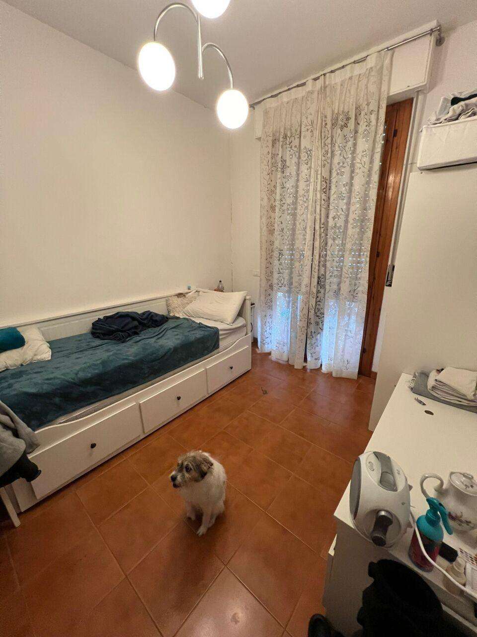  - foto 8