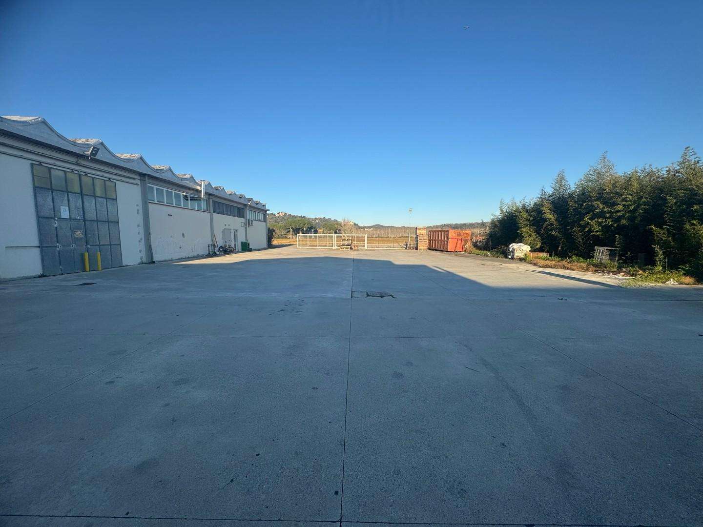 Capannone Strada Comunale Pian di Roglio,  12, Capannoli