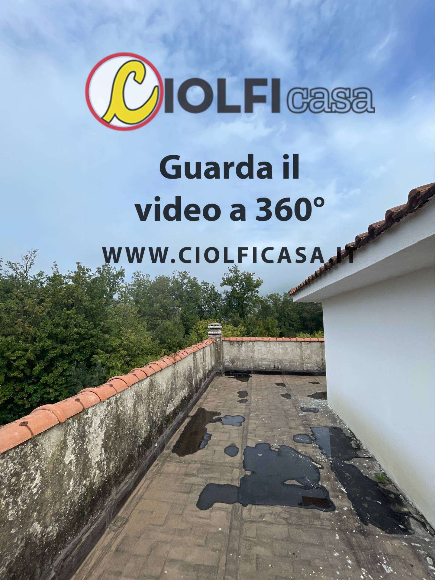  - foto 50