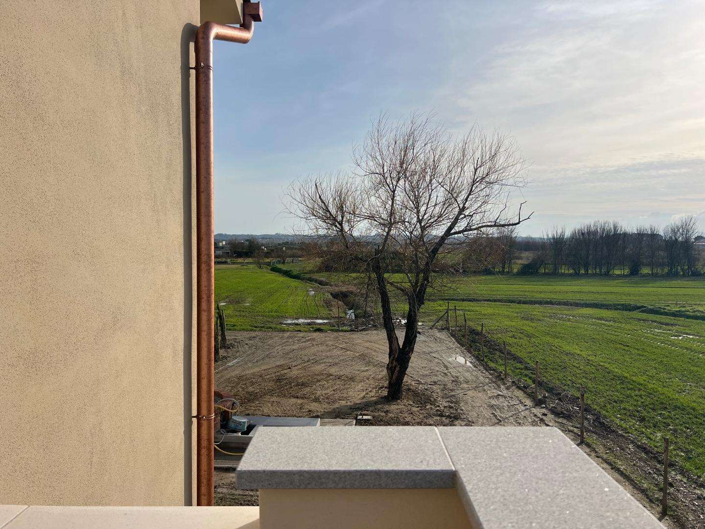  - foto 65