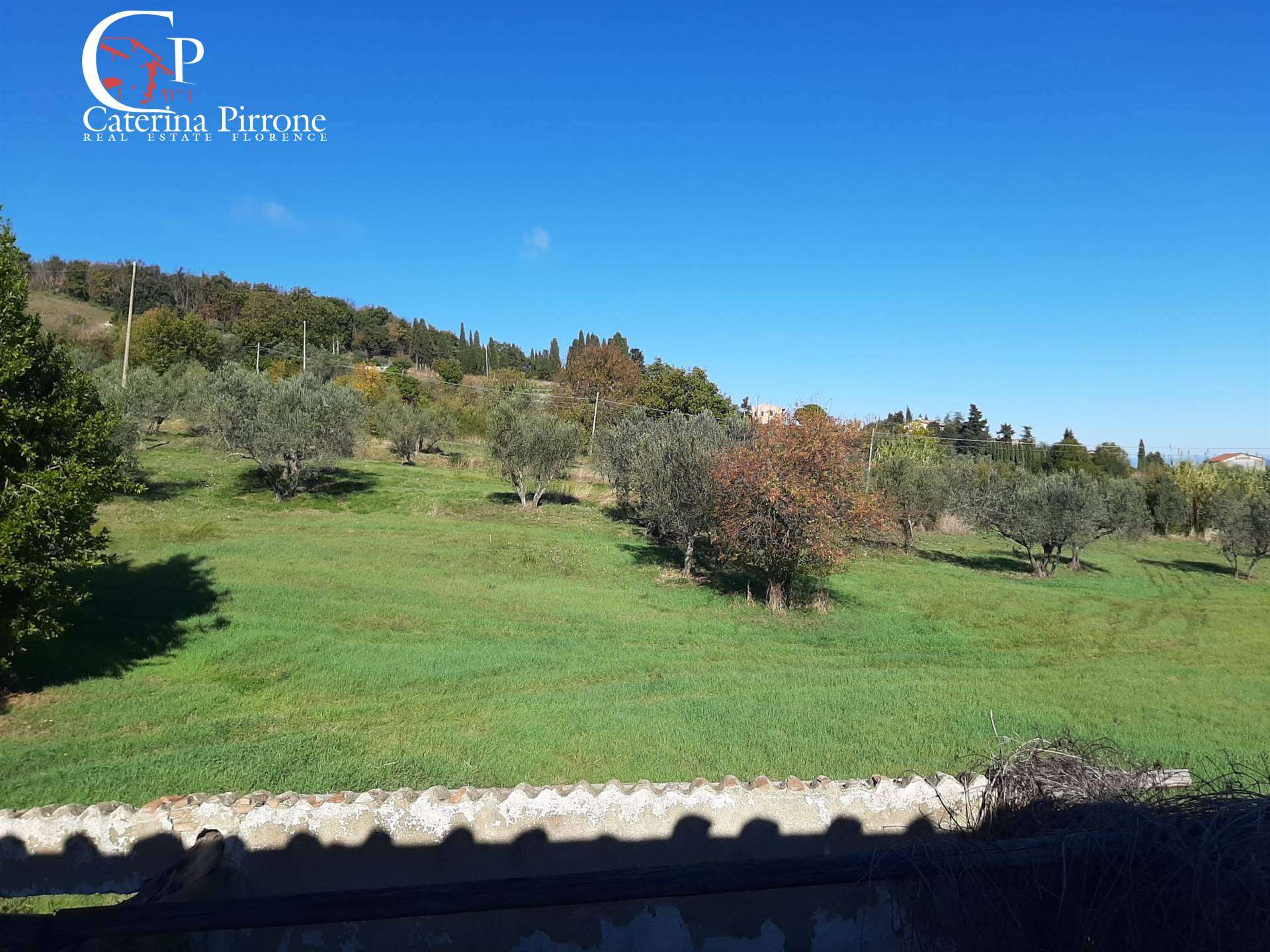  - foto 13
