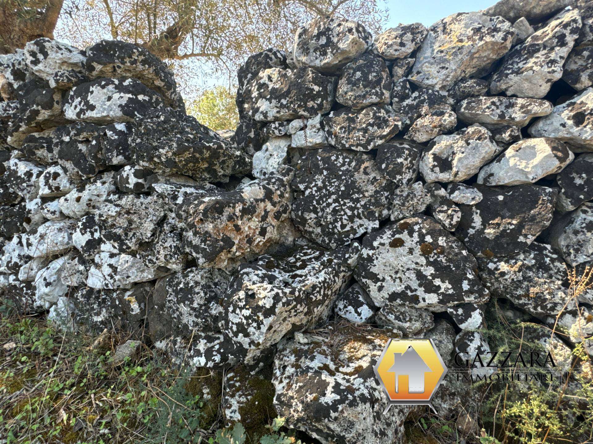  - foto 59