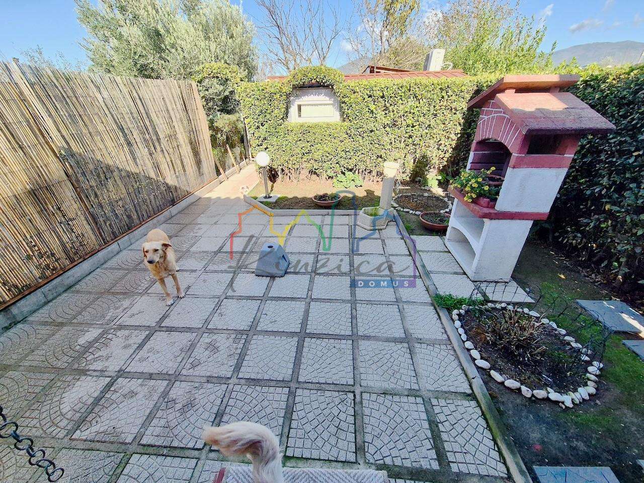  - foto 39