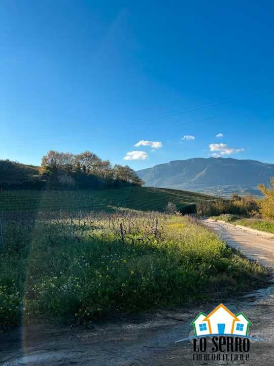  - foto 3