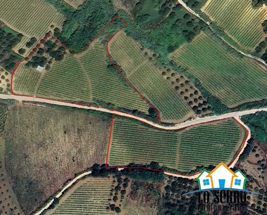  - foto 5