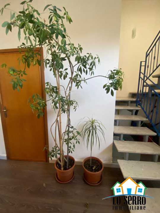  - foto 7