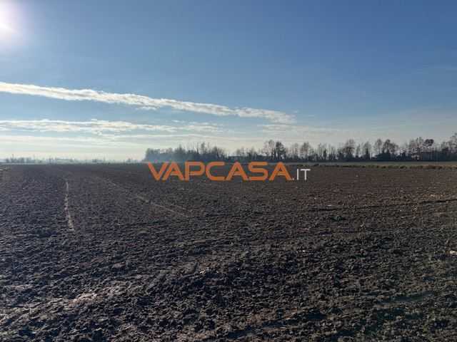  - foto 15