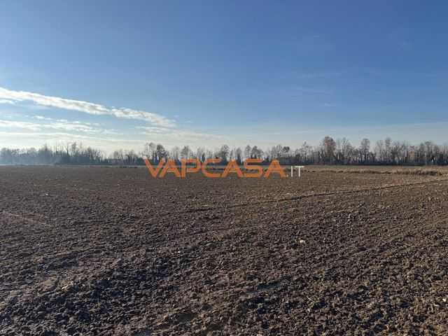  - foto 16