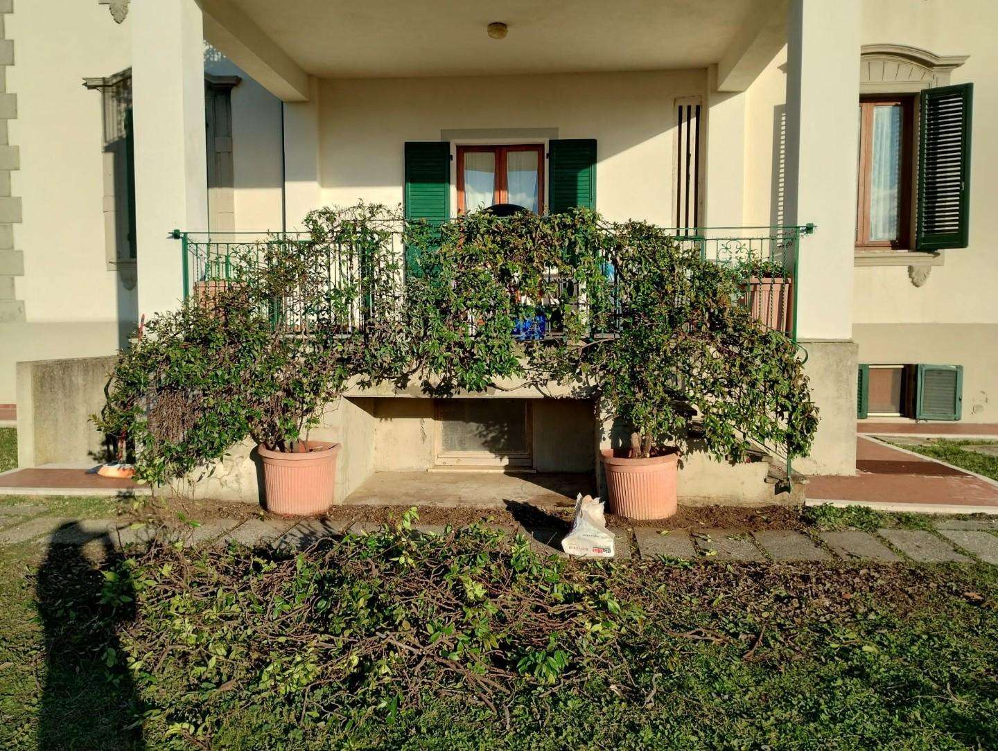  - foto 37