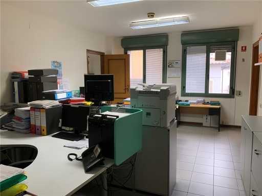  - foto 16