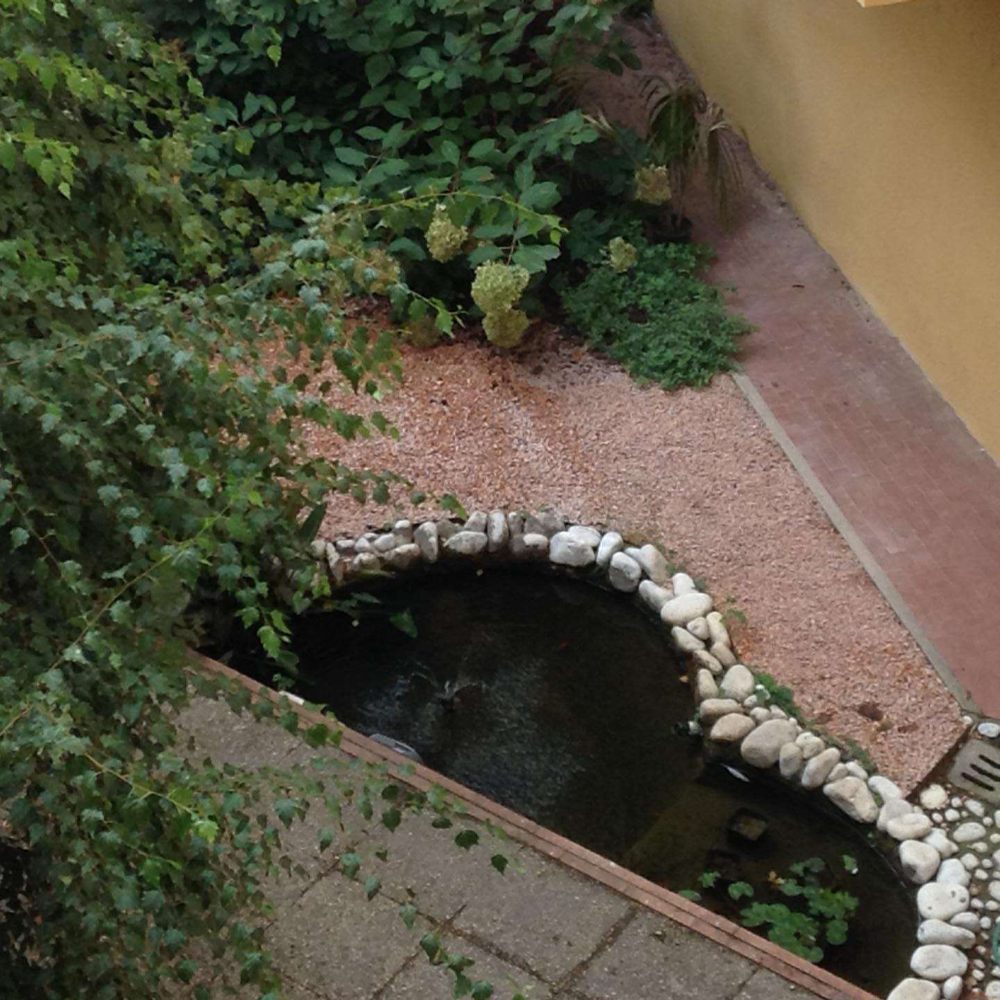  - foto 13