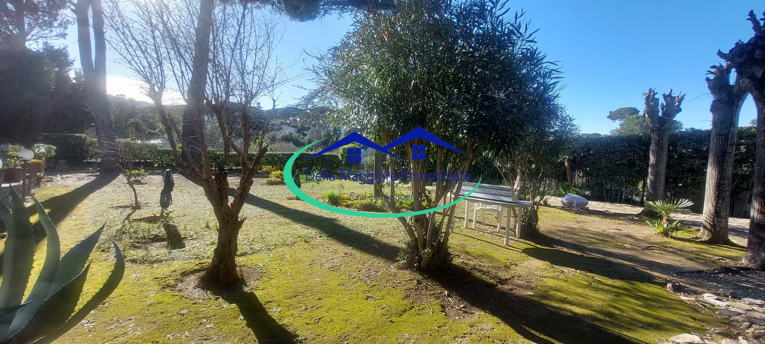  - foto 42