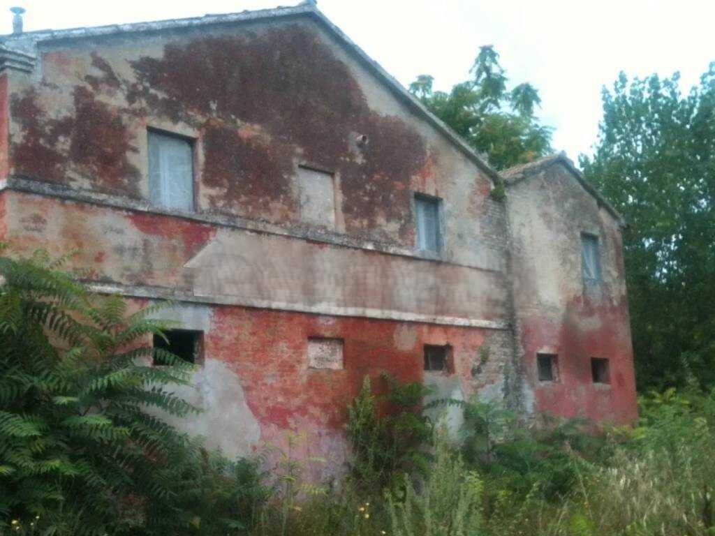  - foto 4