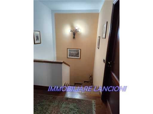  - foto 13