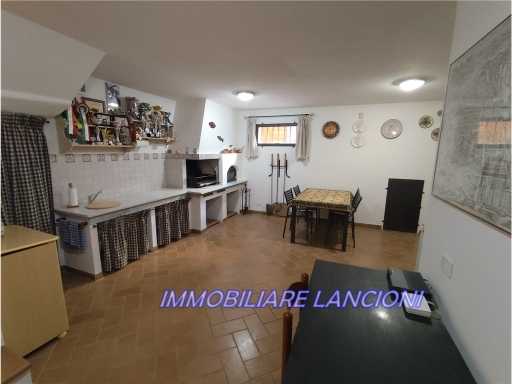  - foto 29