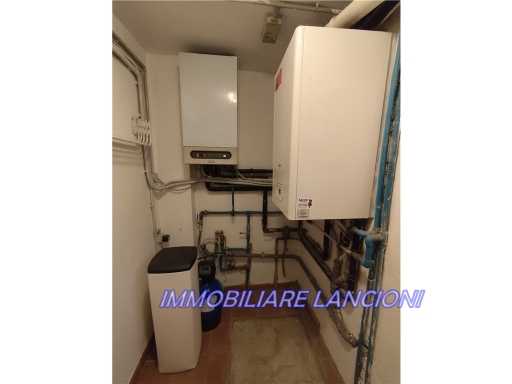  - foto 31