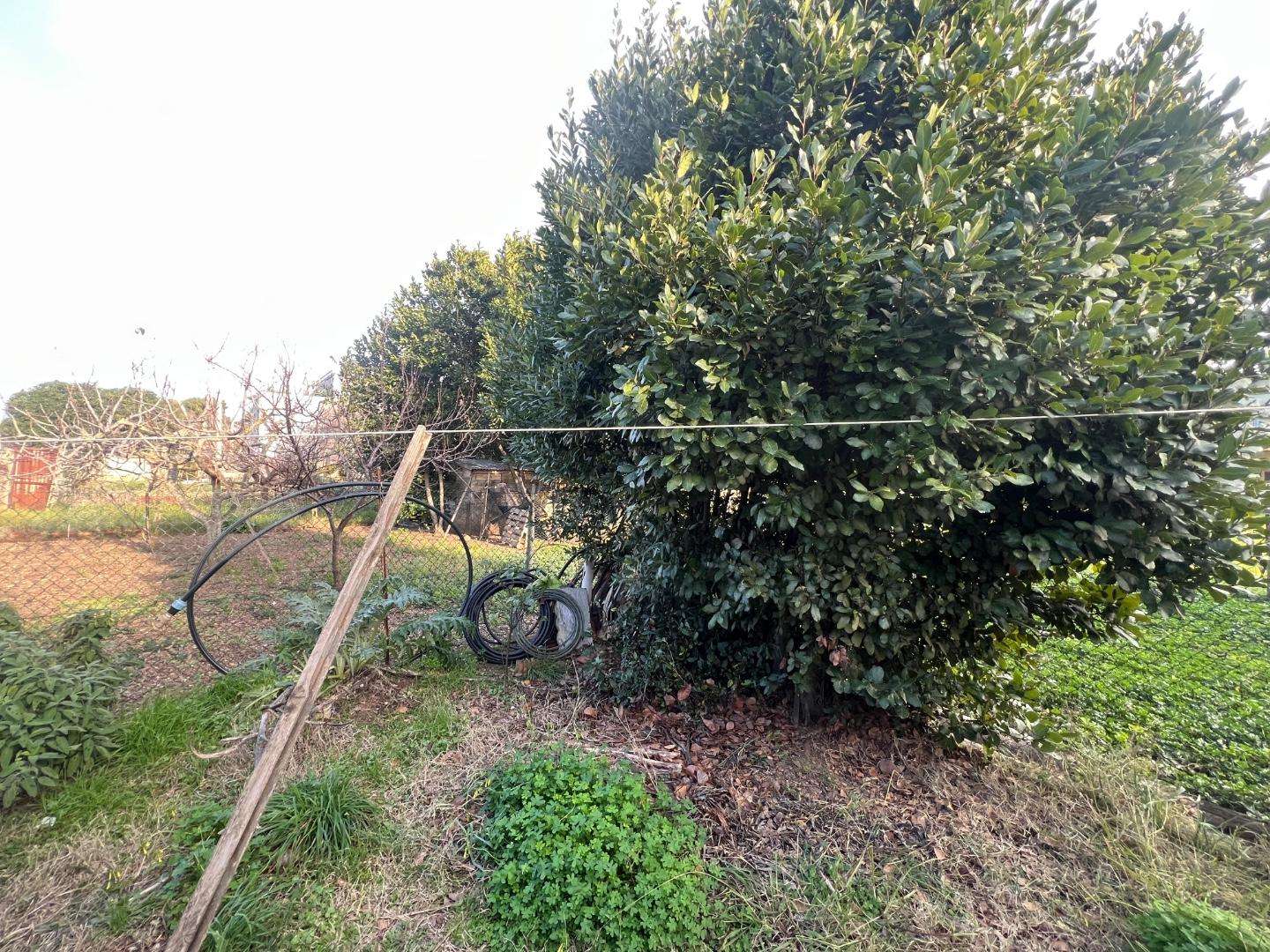 - foto 8
