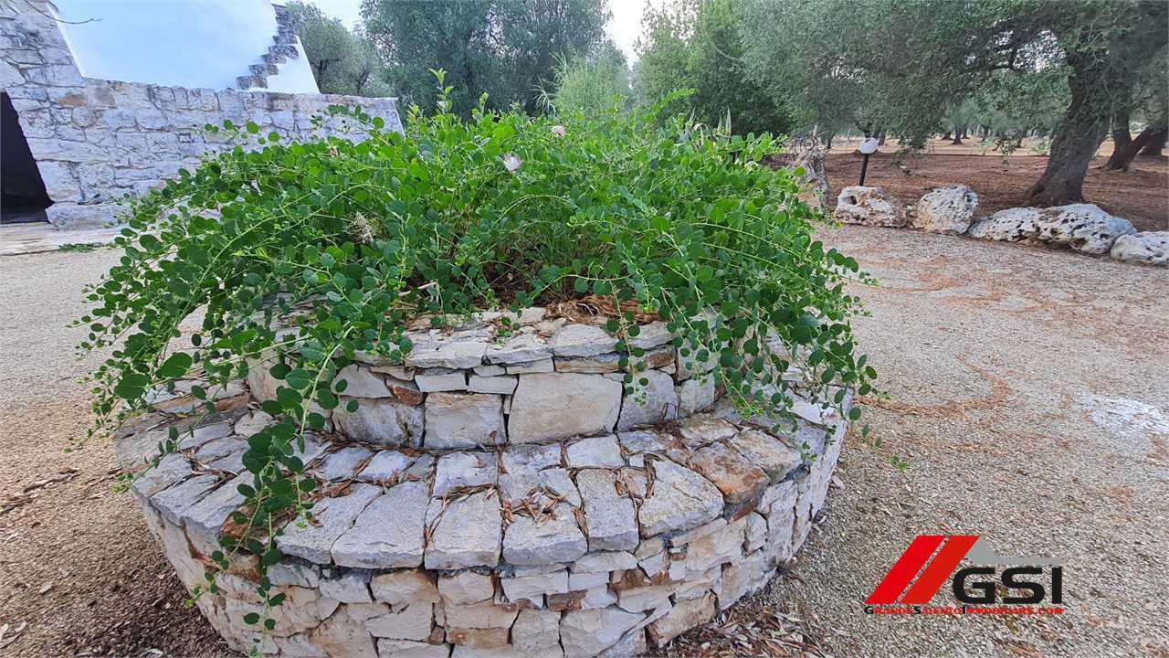  - foto 4