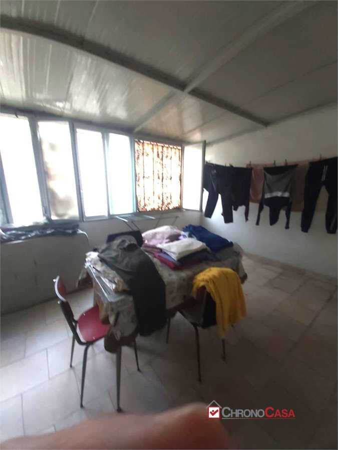  - foto 4