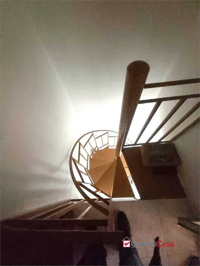  - foto 7