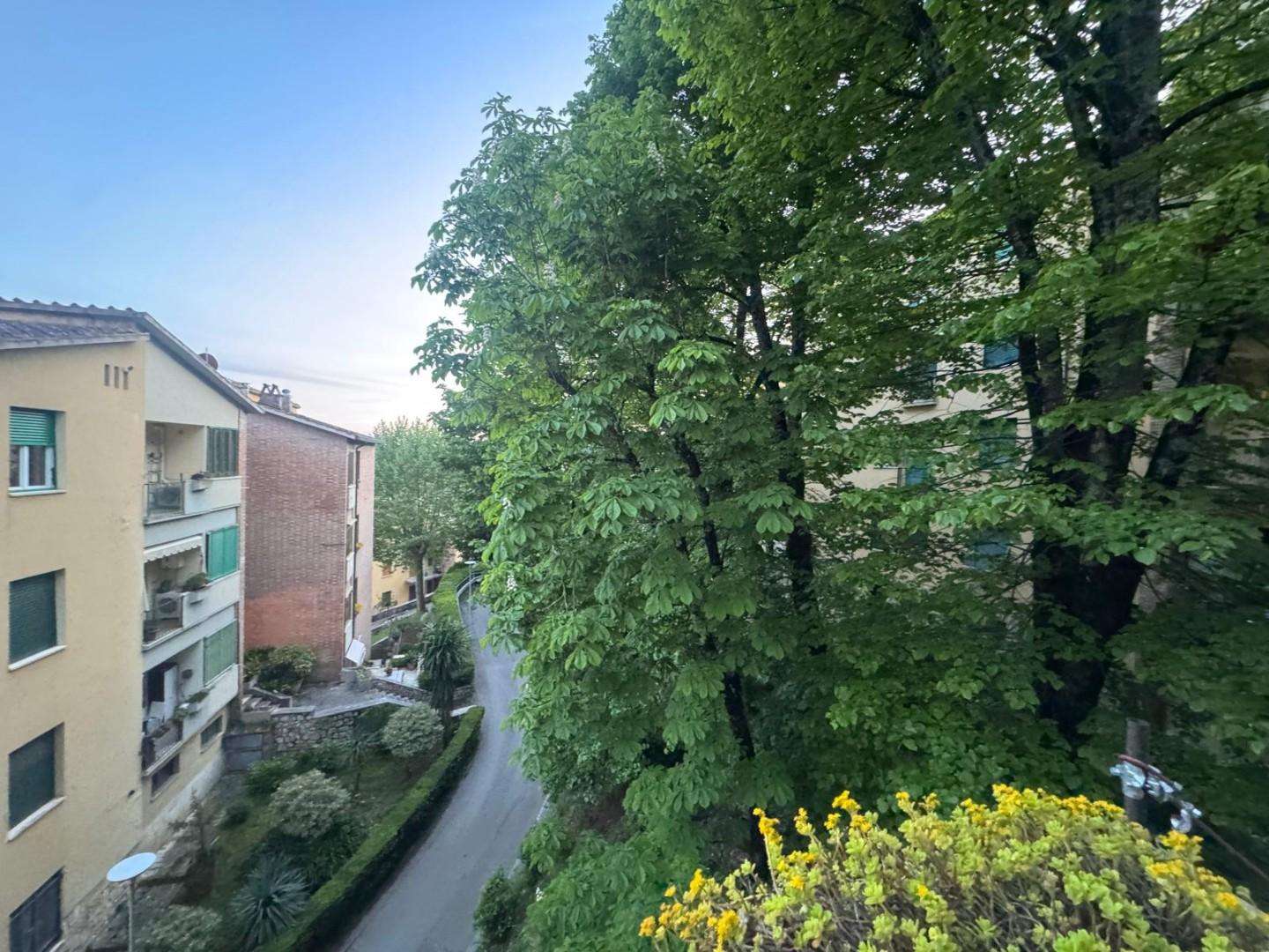  - foto 23